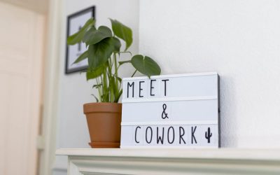 Le coworking en Belgique : vers un modèle de travail plus durable